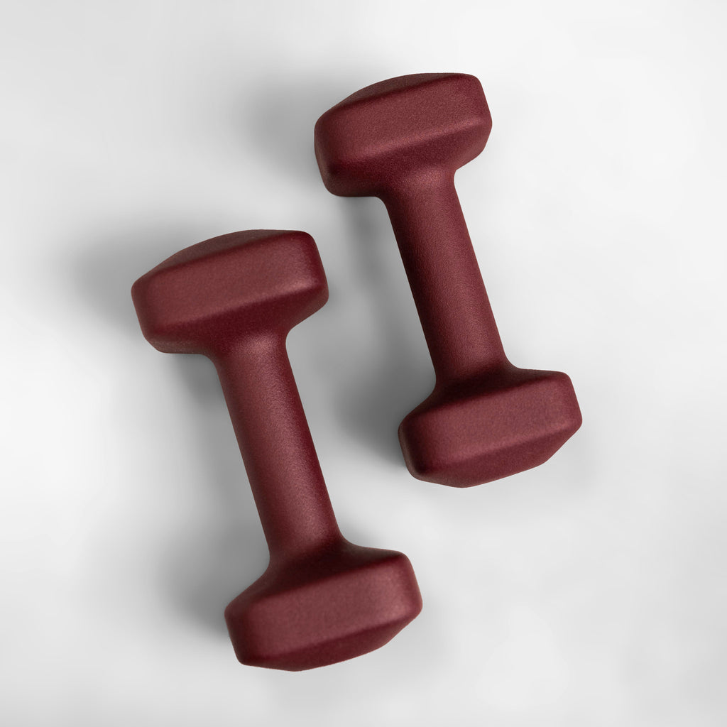 The Sculpt Society x WeGym SafeGrip Dumbbell Pairs