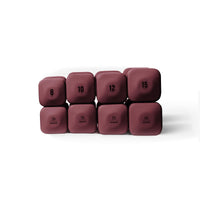 The Sculpt Society x WeGym Dumbbell Set