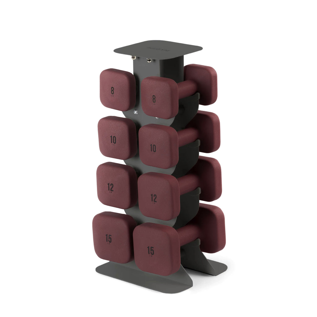 The Sculpt Society x WeGym Dumbbell Set