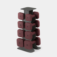 The Sculpt Society x WeGym Dumbbell Set