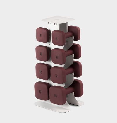 The Sculpt Society x WeGym Dumbbell Set