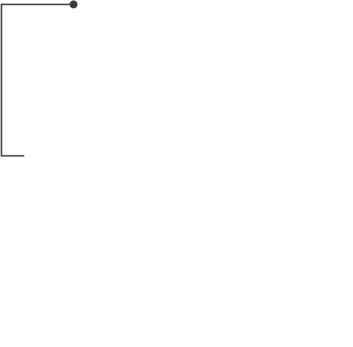 Certified Fitness Professionals